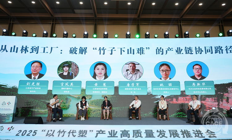 “從山林到工廠：破解“竹子下山難”的產業鏈協同路徑”主題對話.png